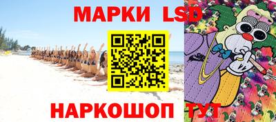 стаф Брянск
