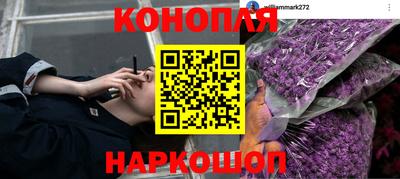 гидра Владимир
