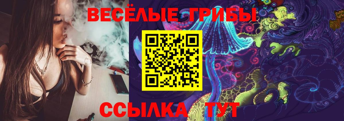 Псилоцибиновые грибы Cubensis Полысаево
